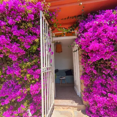 Santa Margarita-2